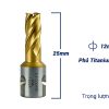 Mũi khoan từ thép gió HSS 12x25mm CFCooper MH25-12
