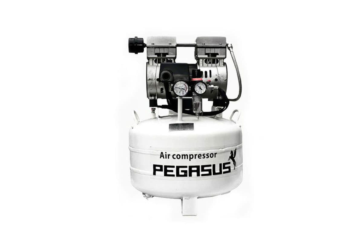 Máy nén khí không dầu giảm âm Pegasus TM-OF550-40L