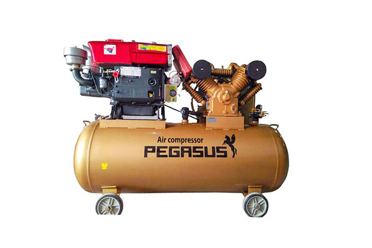 Máy nén khí chạy bằng dầu diesel Pegasus TM-W-1.0/8-500L ( Đầu nổ D8 )