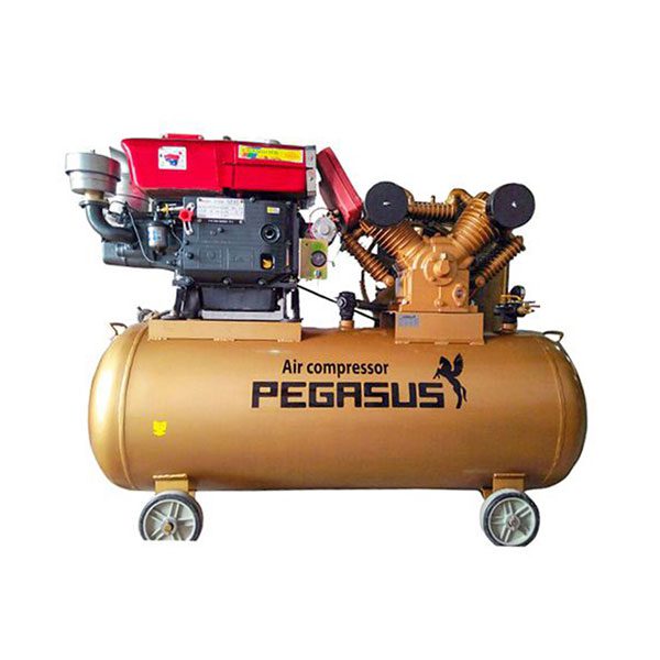 Máy nén khí dây đai Pegasus TM-W-1.0/8-500L (380V)