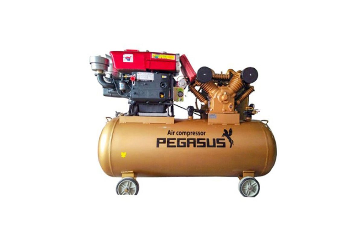 Máy nén khí chạy bằng dầu diesel Pegasus TM-W-1.6/8-500L ( Đầu nổ D24 )