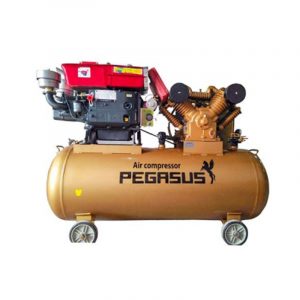 Máy nén khí chạy bằng dầu diesel Pegasus TM-W-2.0/12.5-500L ( Đầu nổ D24 )