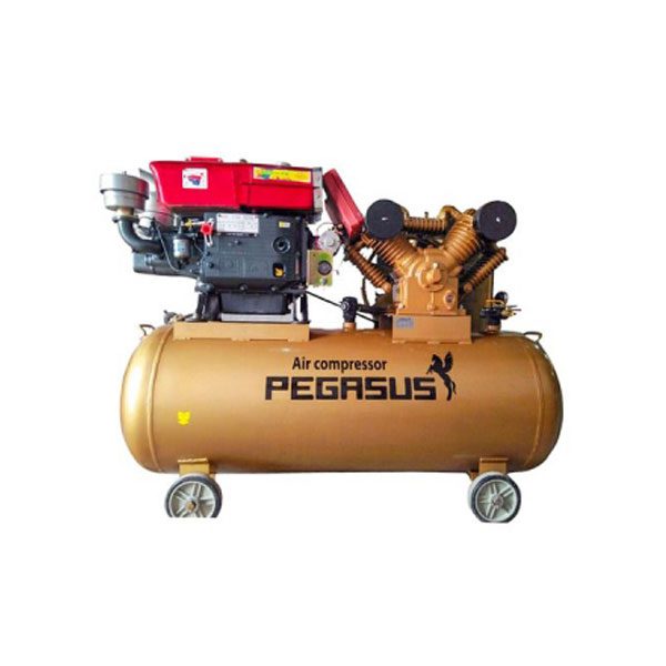 Máy nén khí chạy bằng dầu diesel Pegasus TM-W-2.0/12.5-500L ( Đầu nổ D24 )