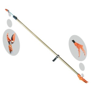 Tgs 00058 Spring